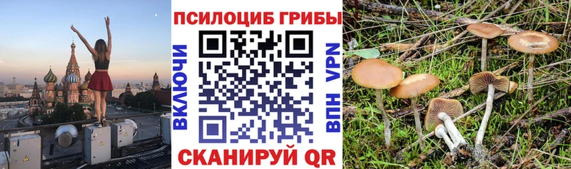 Купить где  Донской  Галлюциногенные грибы мухоморы 