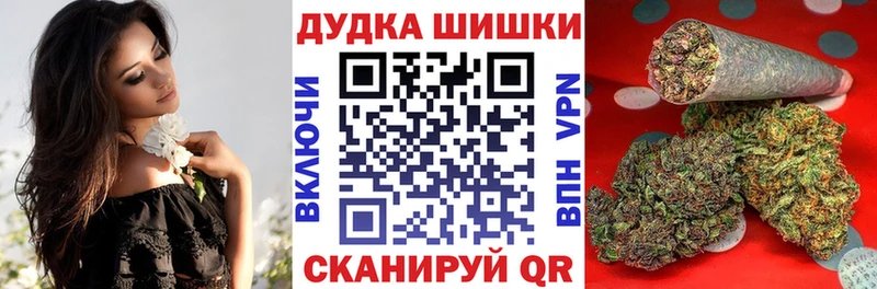 Купить  Донской  Канабис ГИДРОПОН 